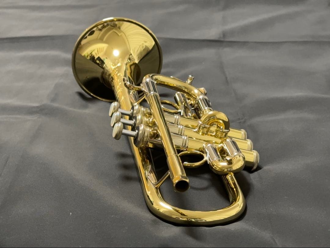 V.BachアルティザンE♭管 AE190GL 長谷川智之氏選定品 [中古]