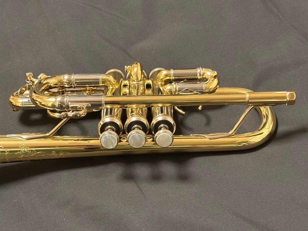 V.BachアルティザンE♭管 AE190GL 長谷川智之氏選定品 [中古]