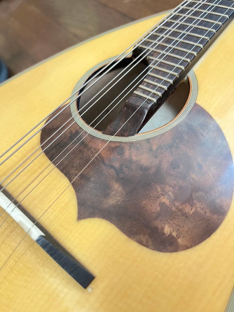 カラーチェマンドリン　No.24 2019年製