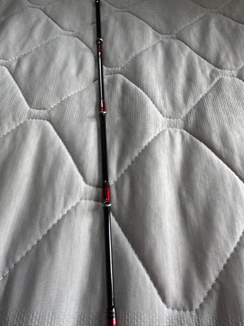 ダイワ　ANALYSTAR TACHIUO TENYA 91-180 船竿