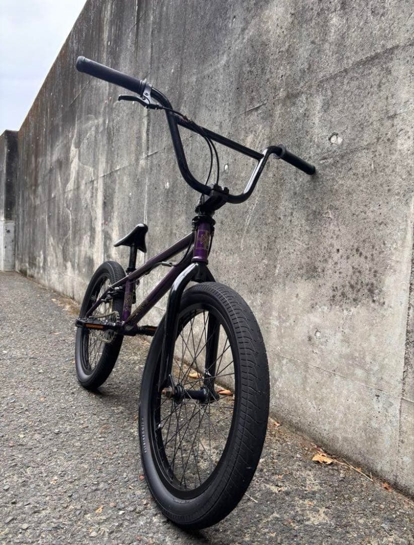 超美品FITBIKE BMX PRK 20インチ