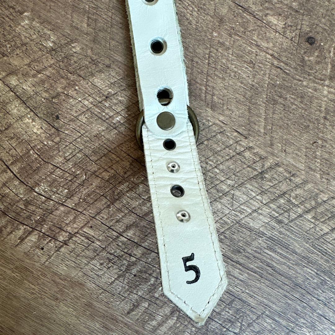 バディベルト　BB ブルージーン5号　ハーネス フルクリスタル　アクセントリード