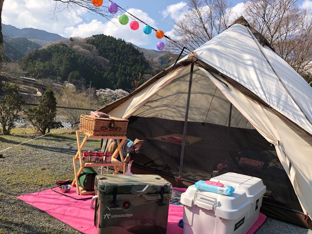 Ogawa グロッケ12tc