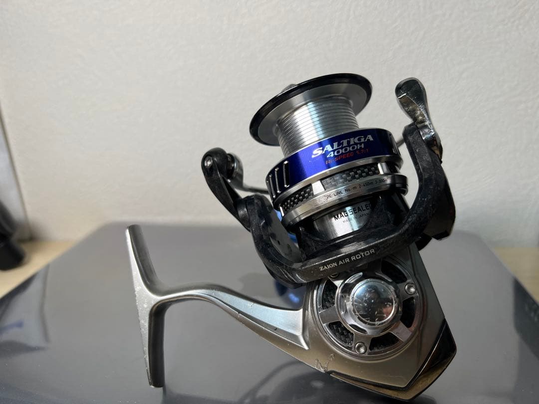 リール 10 Saltiga 4000H