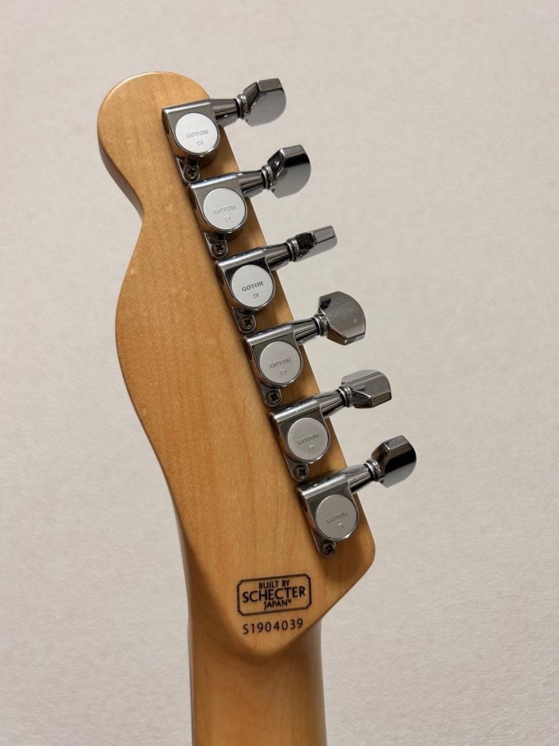 SCHECTER ( シェクター ) PA-LS/TK