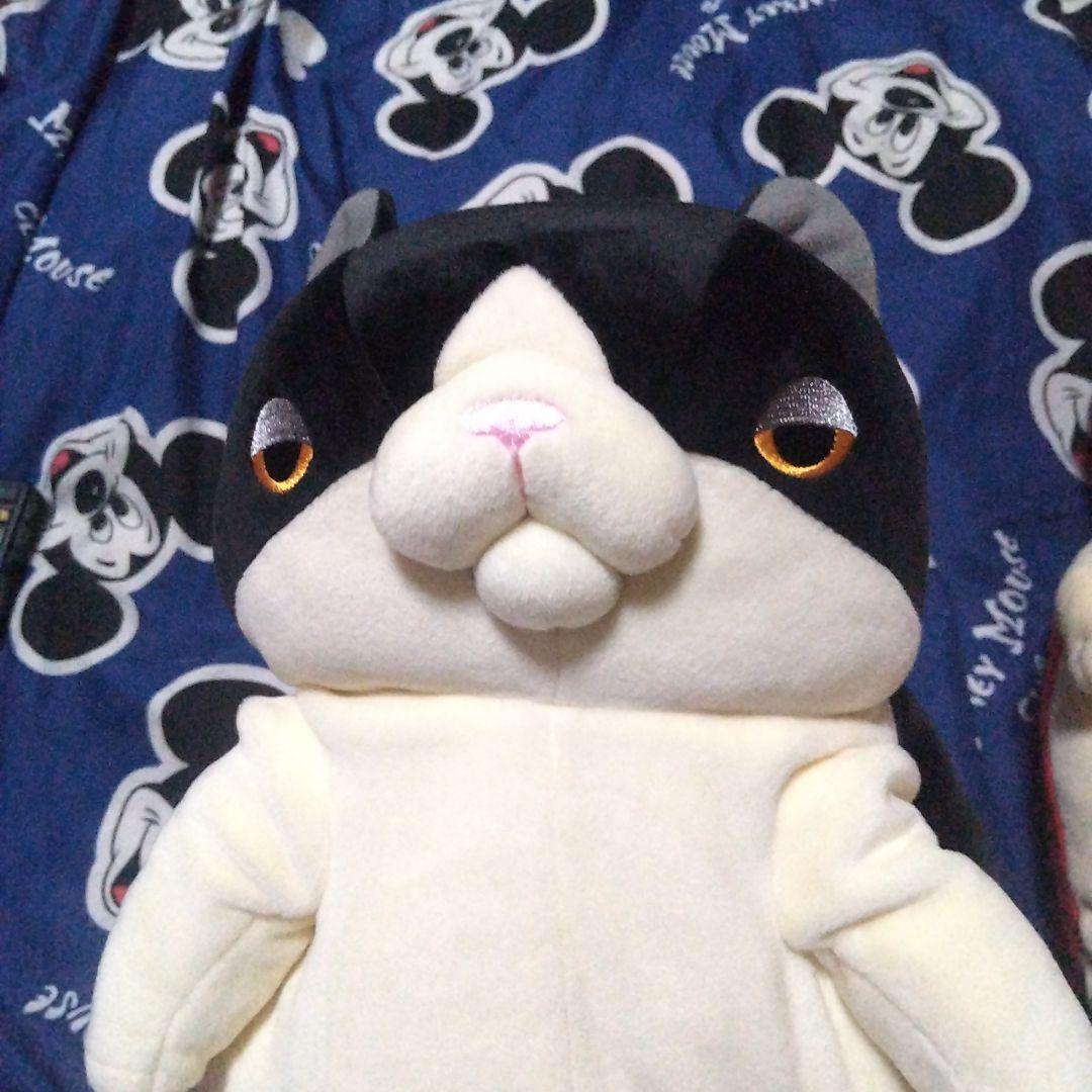 全部値下げしました高橋ヒロムぬいぐるみ ２匹セット