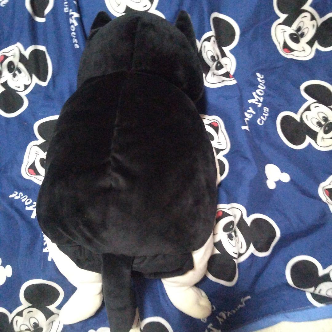 全部値下げしました高橋ヒロムぬいぐるみ ２匹セット