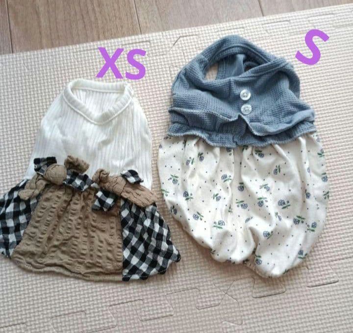 子犬セット　Wi-Fiペットカメラおまけ