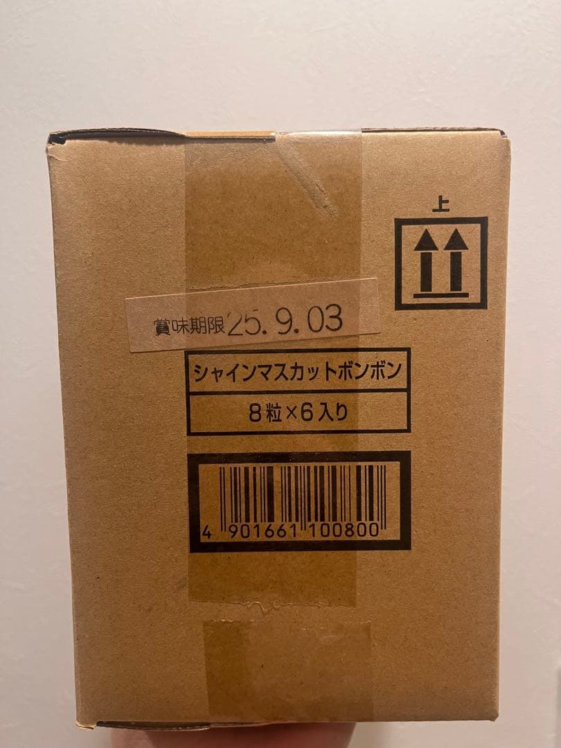 シャインマスカットボンボン 6袋入り