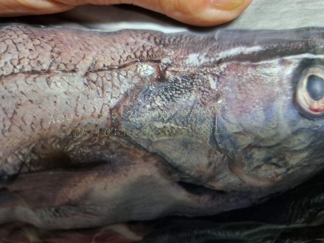 カナダ産 オリジン オリジナル 11.4kg