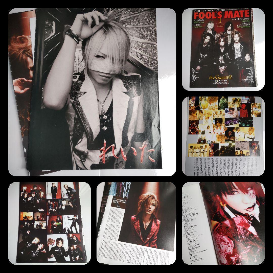 貴重！the GazettE★雑誌切り抜き【大量】約175枚 ルキ れいた 麗