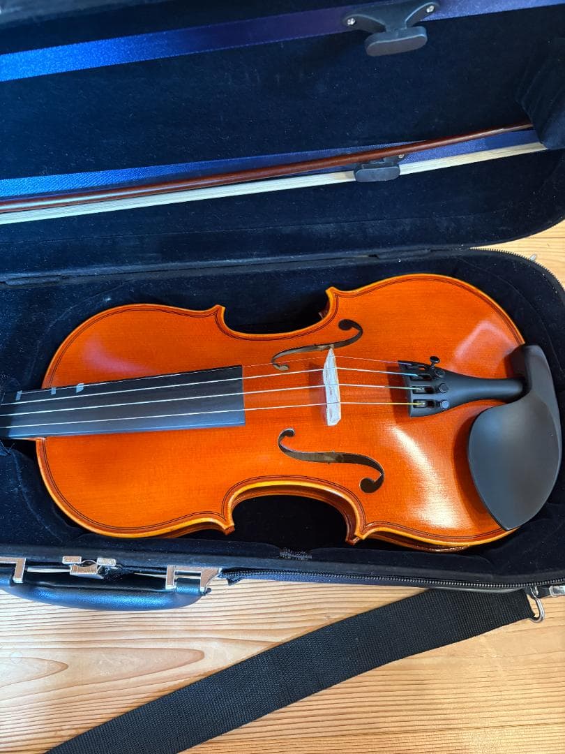 ヴァイオリン Eastman Strings VL80 4/4 2021年