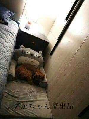 新品ペットベッド 犬用 猫用【fa8