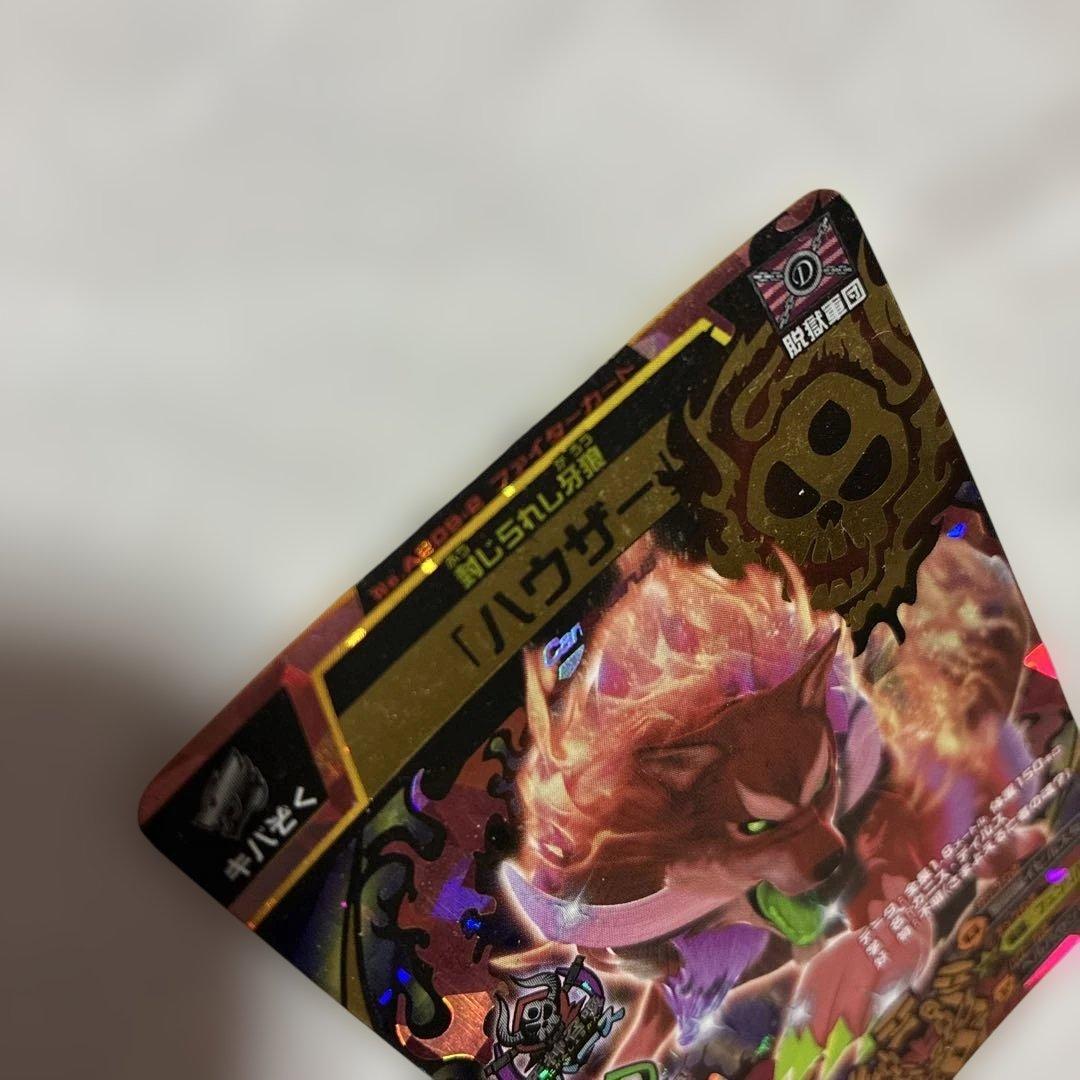 唐揚げ　トンカツ様