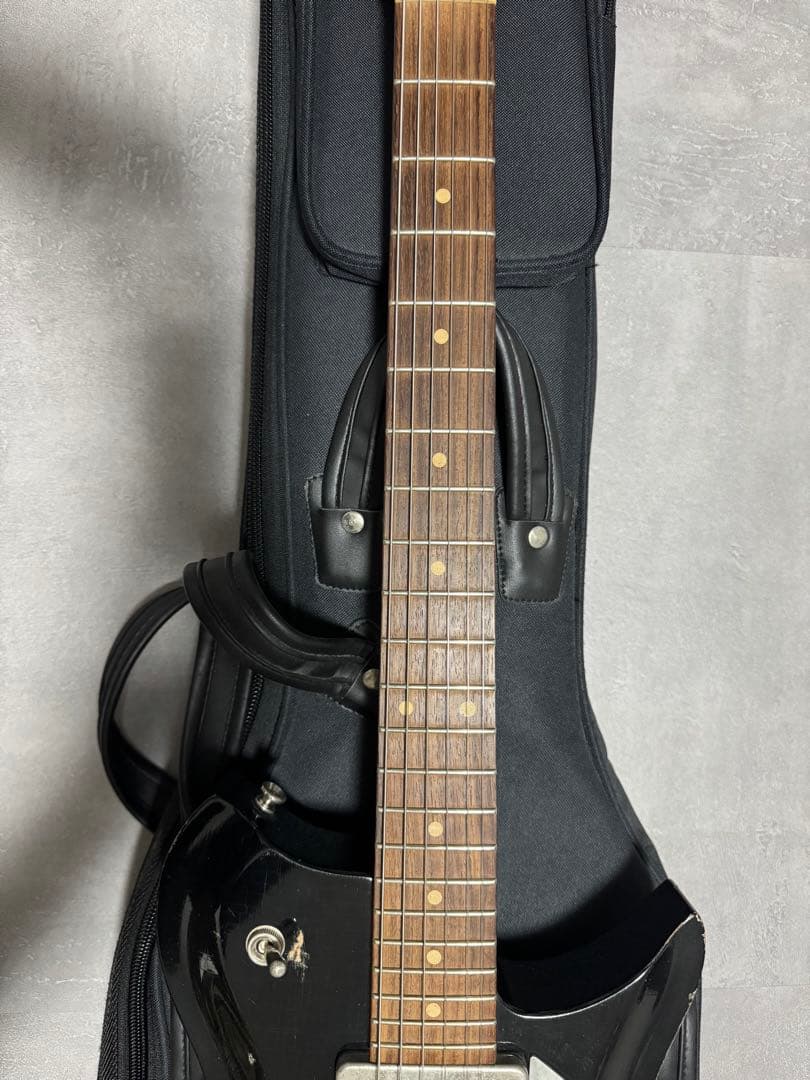ギター fano standard RB6 Bull Black