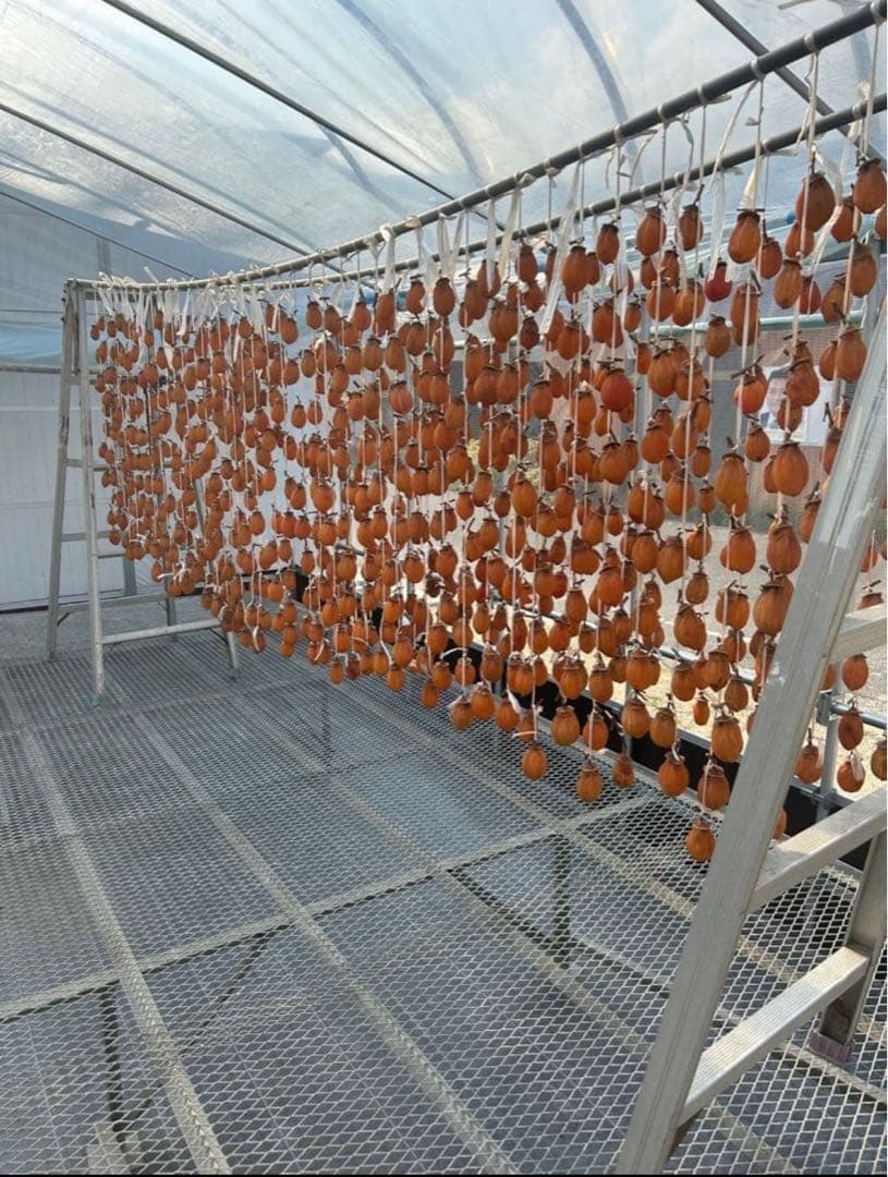 西条柿　干し柿３キロ　りこ