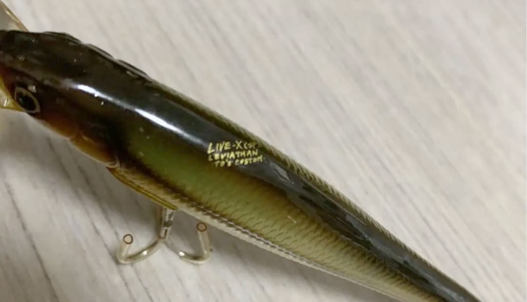 ✅超希少‼️入手困難廃盤レアカラー‼️ オールドメガバス　ルアーセット