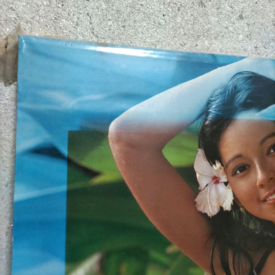 希少！アグネス・ラムパネル