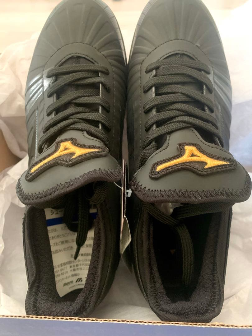 ミズノプロ　PS2