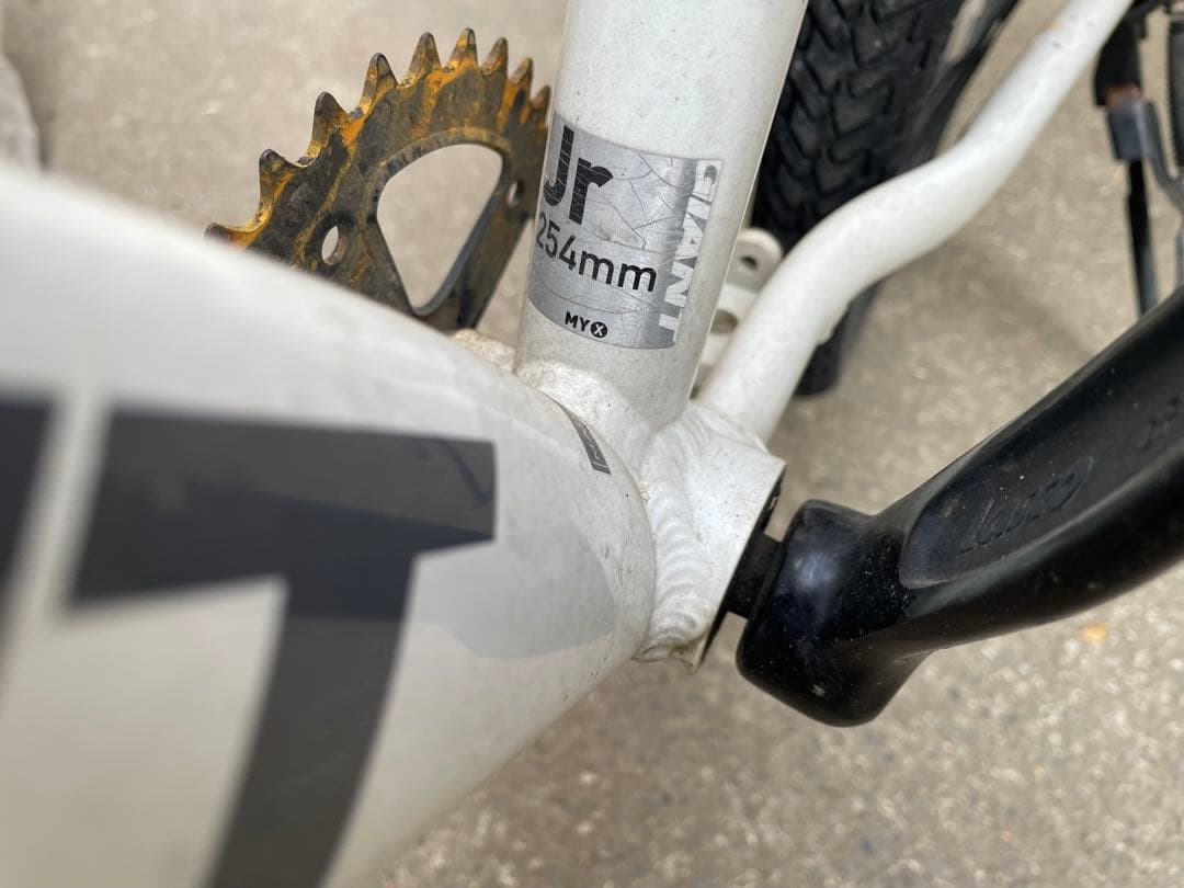 GIANT SNAP 子供用自転車 20インチ