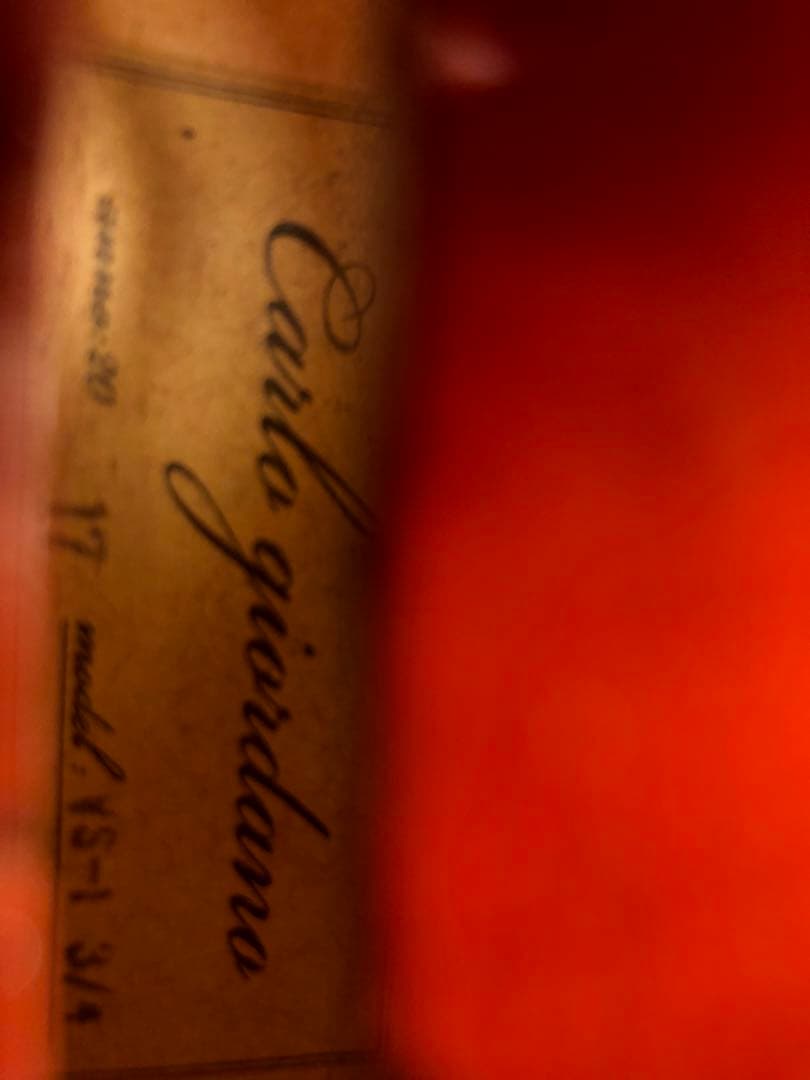 【駒&魂柱調整済】カルロジョルダーノ分数バイオリン VS-1 3/4