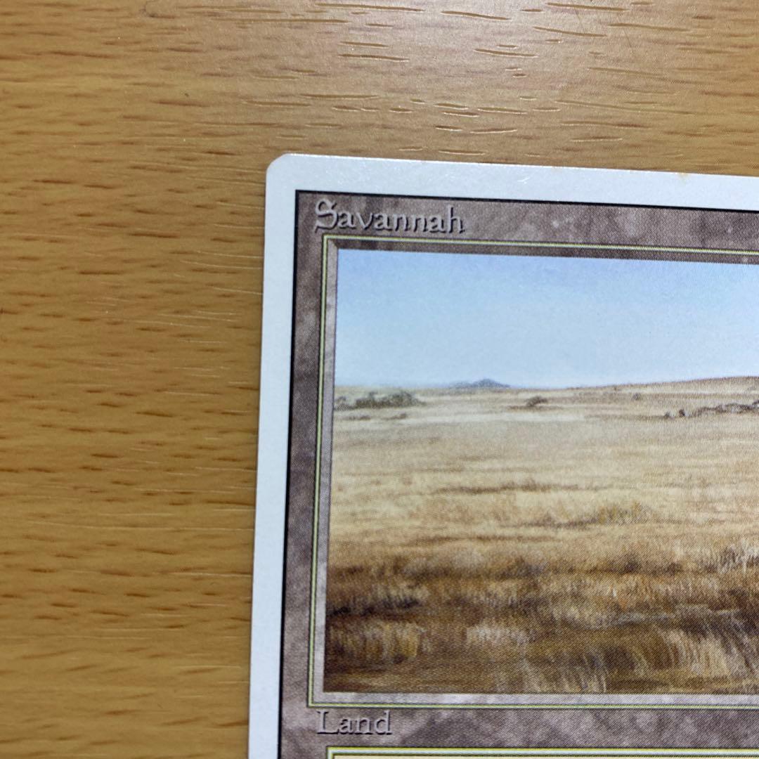 マジック：ザ・ギャザリング MTG Savannah