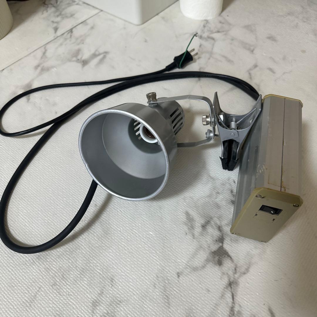 ソラーレ 爬虫類 メタハラ