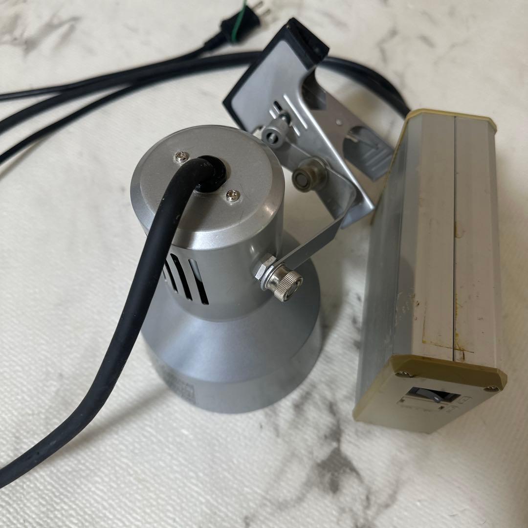 ソラーレ 爬虫類 メタハラ