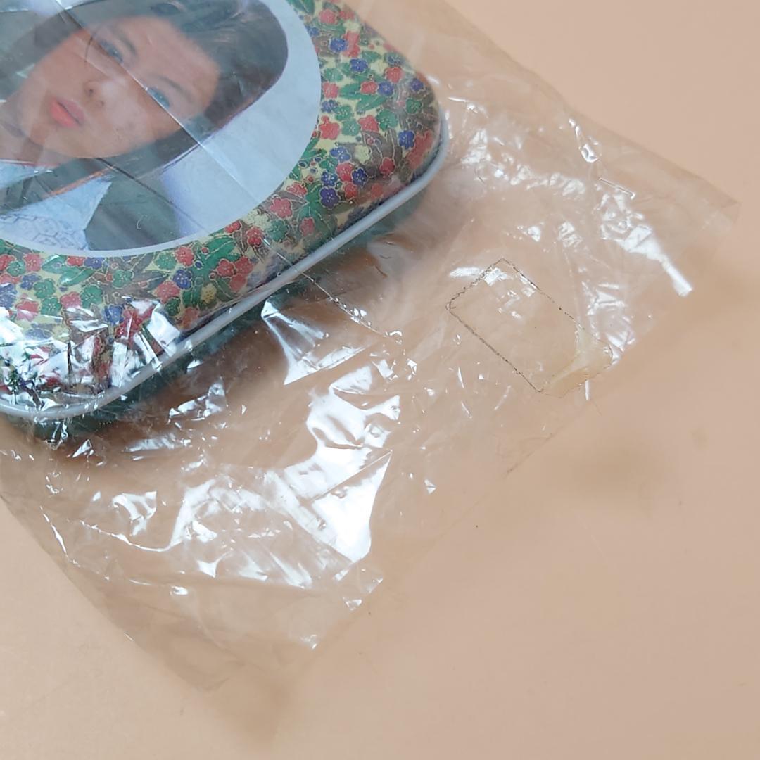 希少 未使用品 里見八犬伝 缶ペン 角川映画 薬師丸ひろ子 真田広之