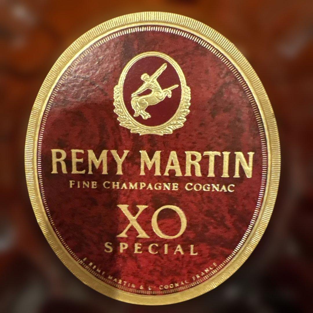 CAMUS ナポレオン & REMY MARTIN XO セット