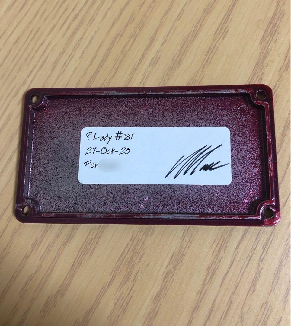 skreddy ?lady プリモデル