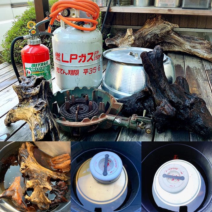 爬虫類等　流木レイアウトご相談ページ