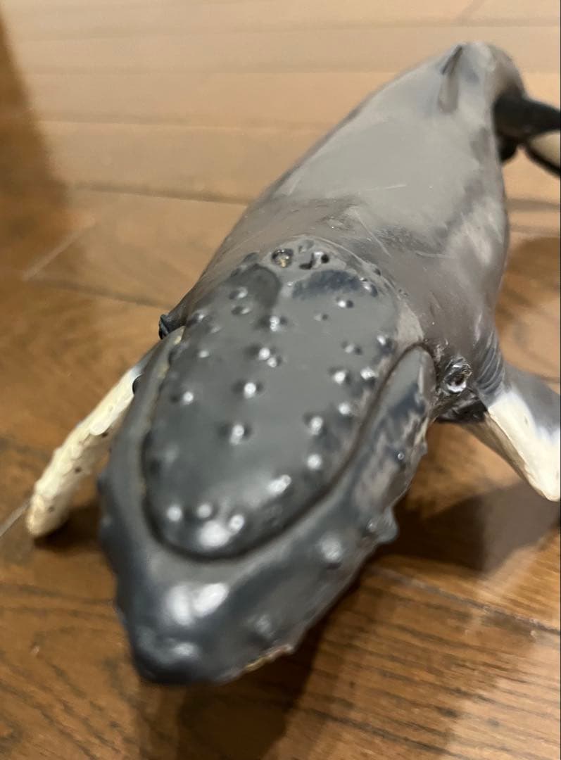 鯨　フィギュア　模型　ザトウクジラ　置物