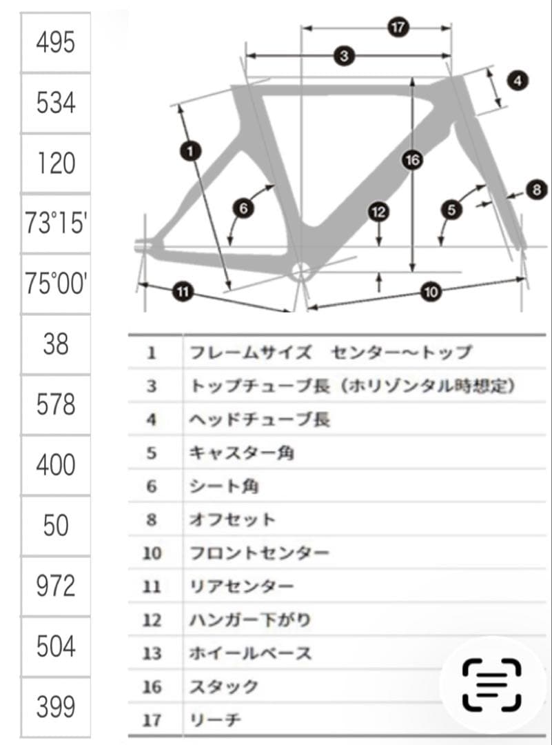 ★ BRIDGESTONE TR9 サイズMトラックフレームセット　ピスト　競輪