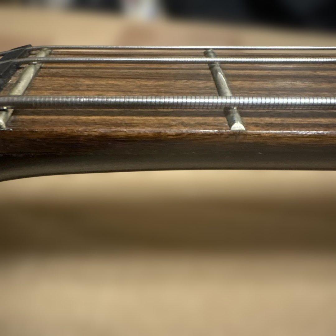 Legend バイオリンベース