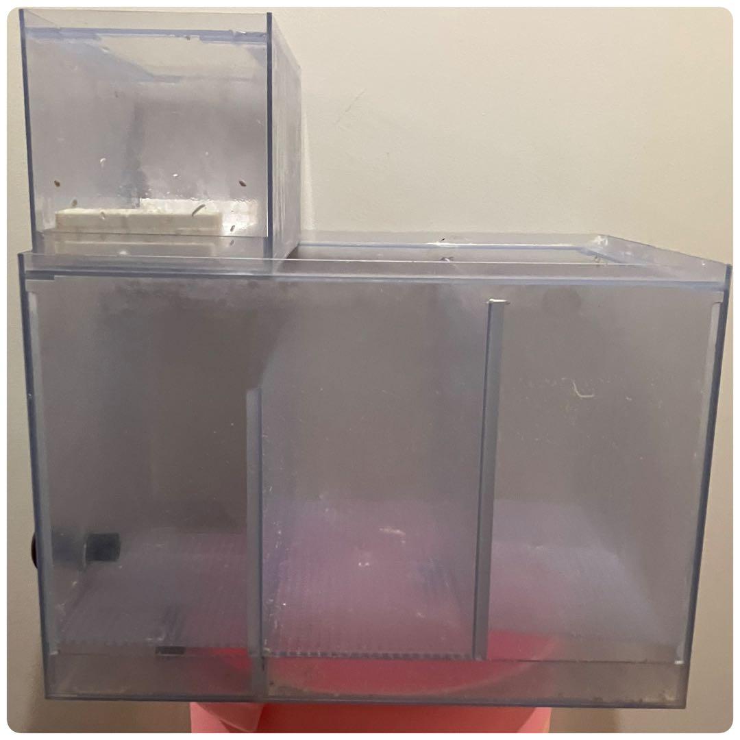 札幌市引き取り限定60cmオーバーフロー水槽セット