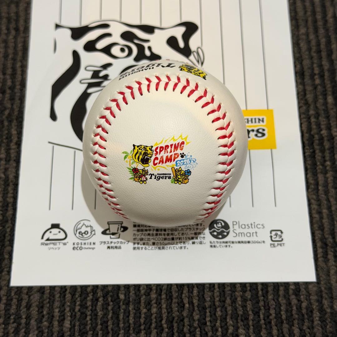 阪神タイガース 立石正広 直筆サインボール 沖縄キャンプロゴボール 限定