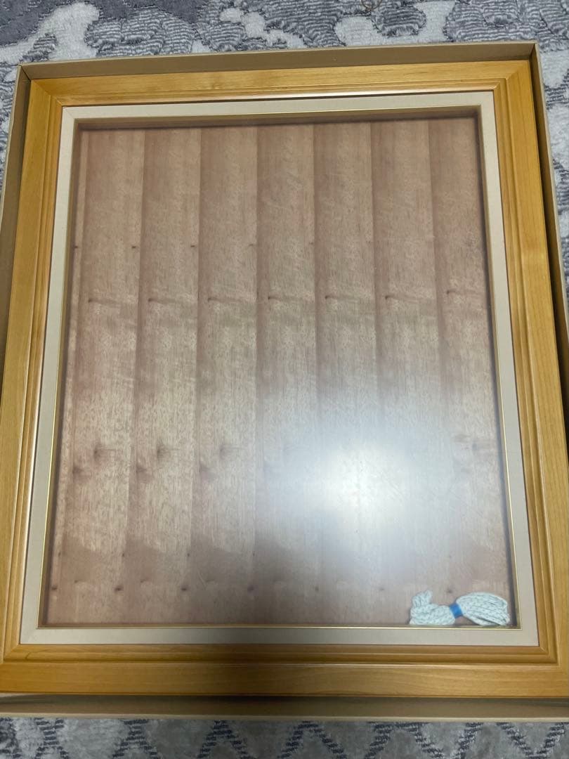 ラーソン・ジュール株式会社　Ｆ２０額縁