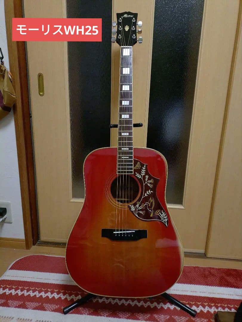 【お盆特価】Morris　 WH25 ハミングバード 日本製