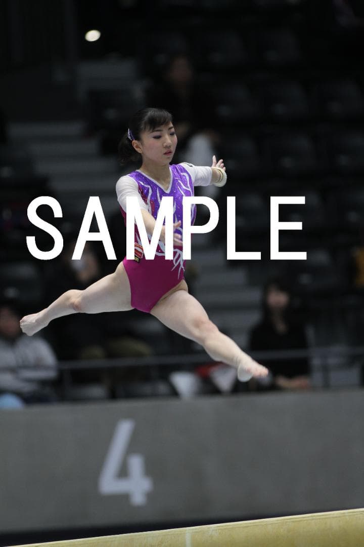 2017年全日本団体体操　日本女子体操画像集①　約9,000枚