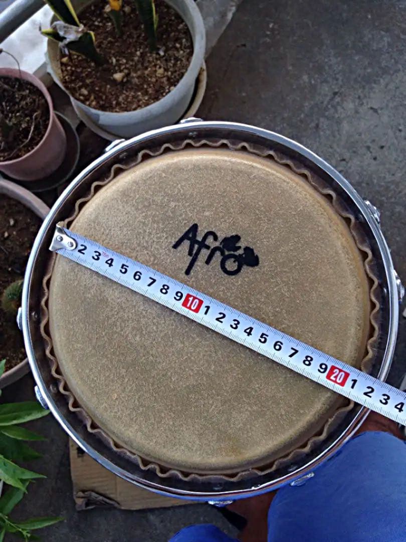 コンガ (8インチ)美品