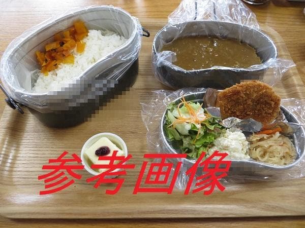 E*.様 自衛隊　本物　戦闘飯盒　Ⅱ型　 はんごう 91年