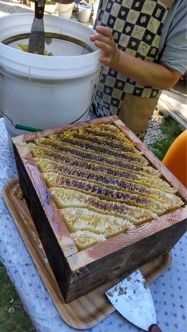 日本ミツバチの純粋天然百花ハチミツ 1200g