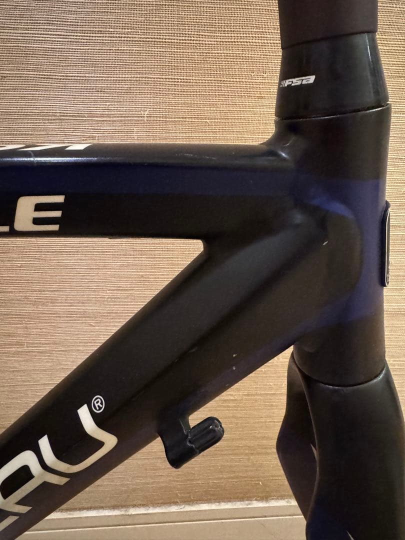 ルイガノ LGS-RSR LE フレームセット450 size