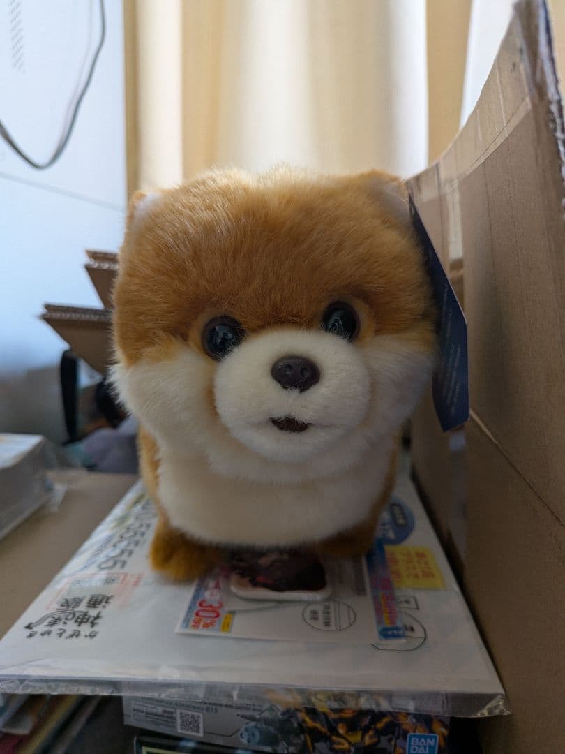 (激レア)櫻坂 しかくに