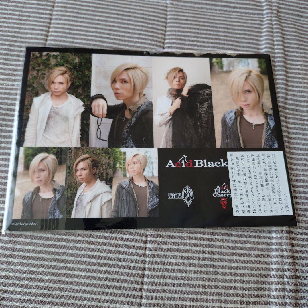 Acid Black Cherry 【未開封】ステッカー9枚セット