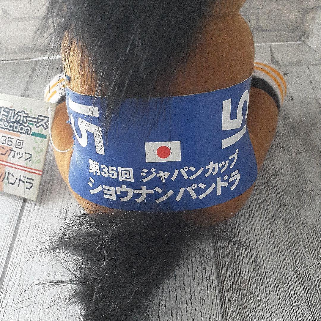 アイドルホース　ショウナンパンドラ