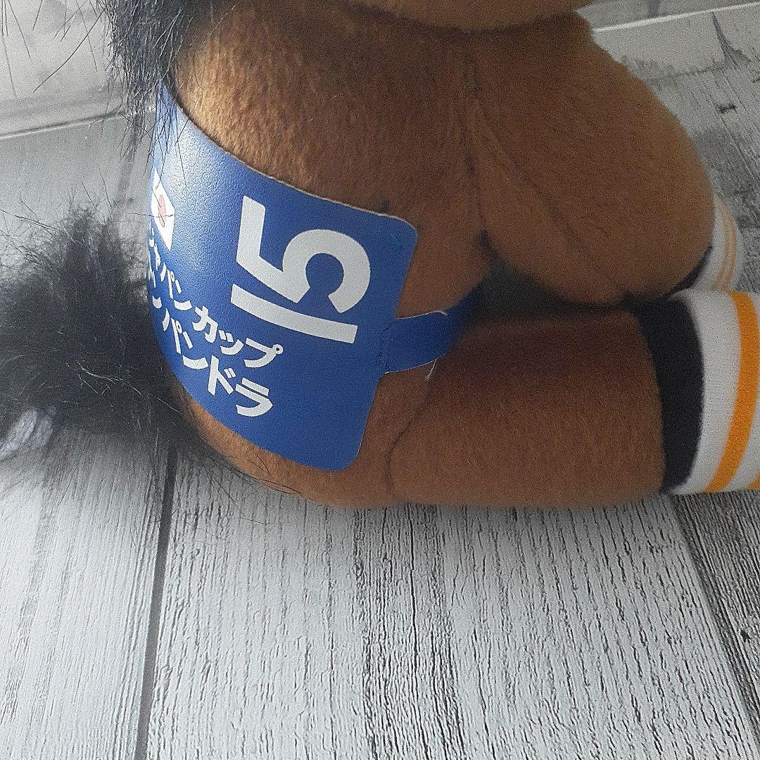 アイドルホース　ショウナンパンドラ