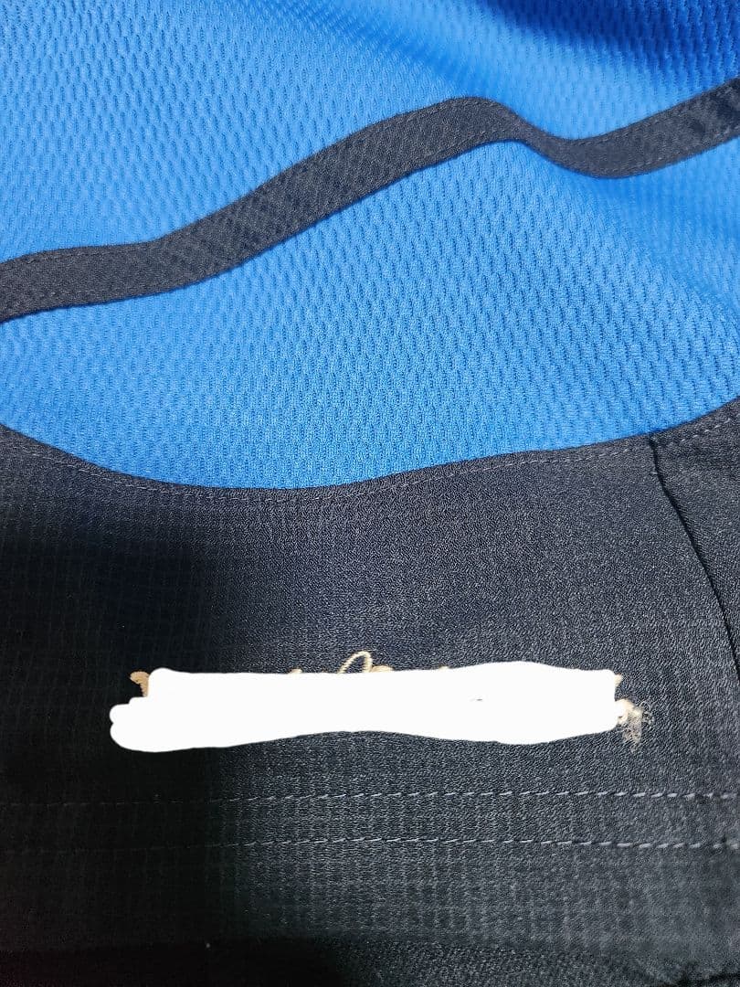 日本体育大学　日体大　サッカー部　支給　ジャージ