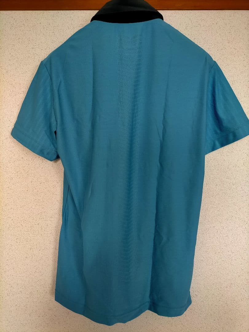 フェデラー　全仏優勝　Nike ポロシャツ Lサイズ 青